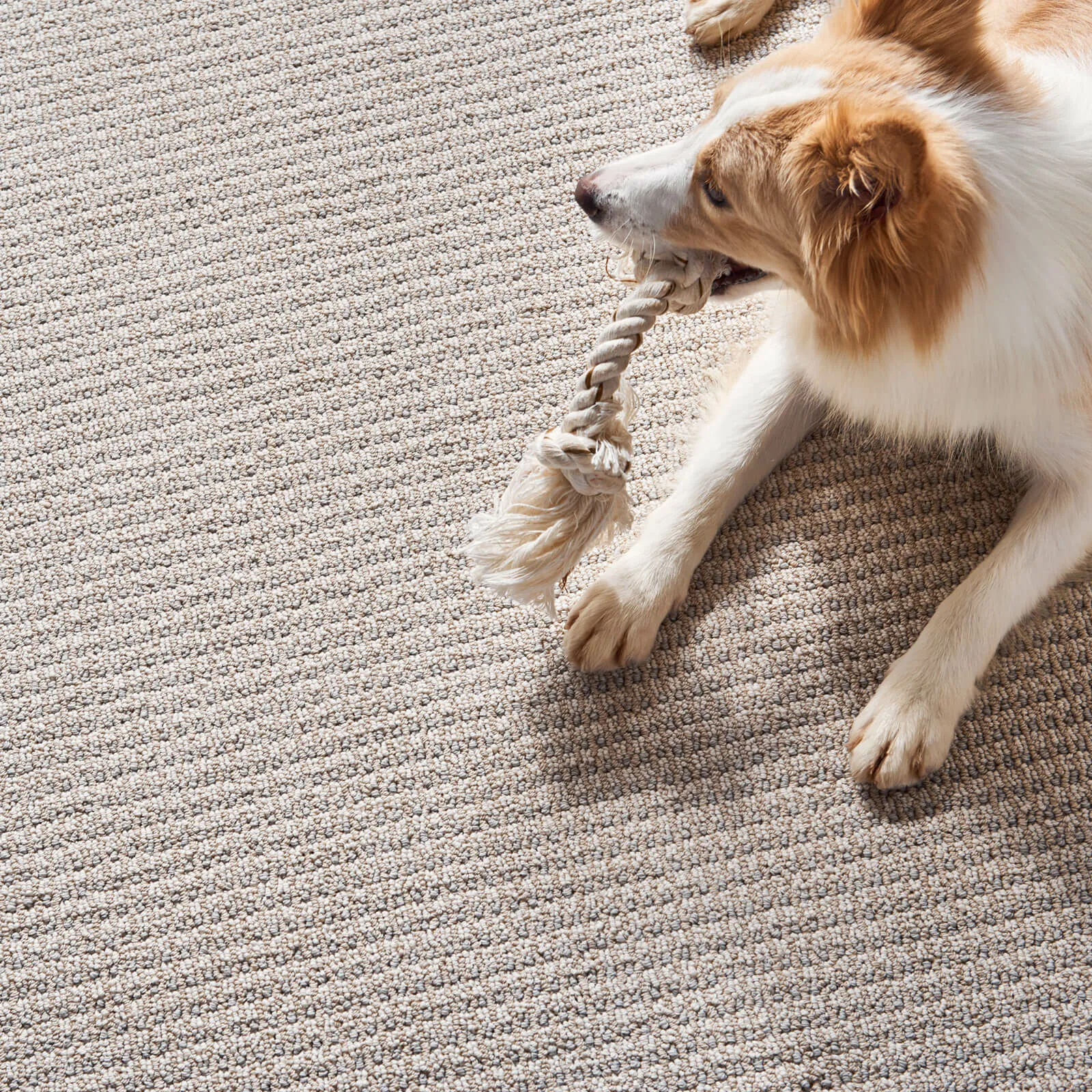 Carpet | Towne Flooring Center